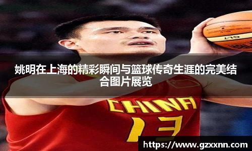 姚明在上海的精彩瞬间与篮球传奇生涯的完美结合图片展览